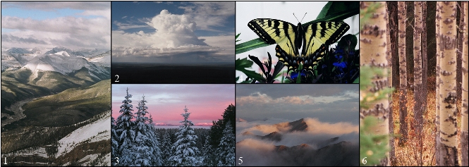 Sharon's Post Card .jpg